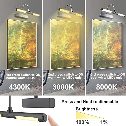 LUXSWAY Picture Light Battery Powered, Wireless Painting Light with