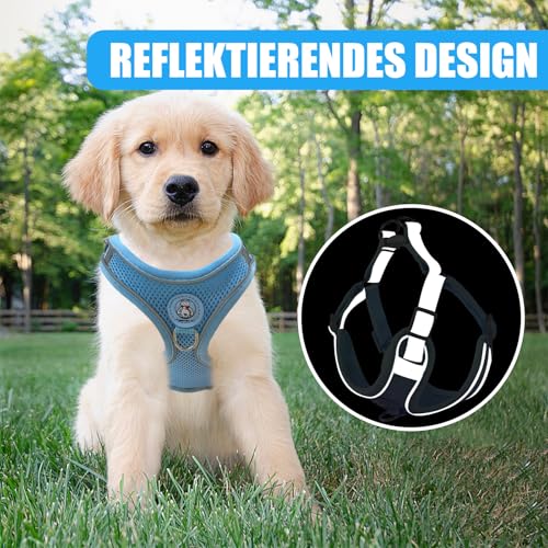Hundegeschirr mit Hundeleine Set, Air-Mesh Atmungsaktiv Brustgeschirr für Kleine, Mittelgroße Hunde & Welpen, Weich Gepolstert Einstellbar Reflektierend Geschirr (Blau, S)