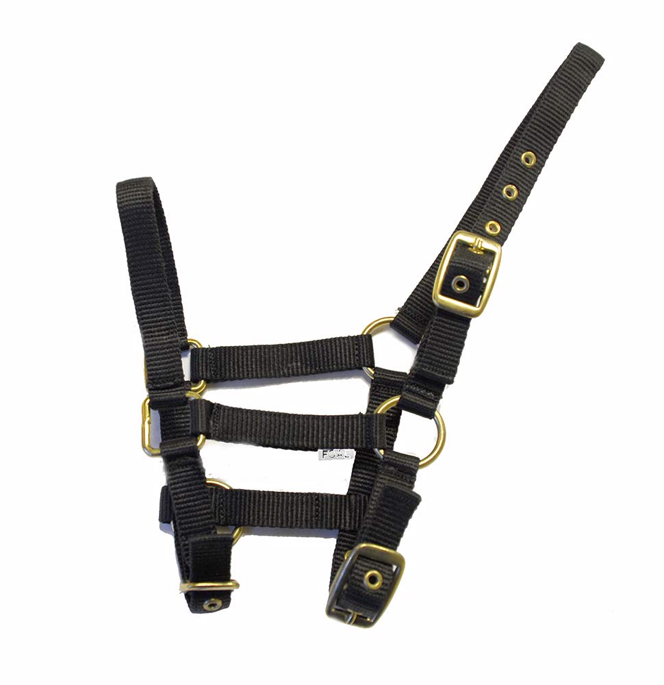 Rhinegold Licol en Nylon pour Poulain Noir