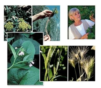 Cards Nature's Medicine Chest 4x6 Plant ID Card Series Book