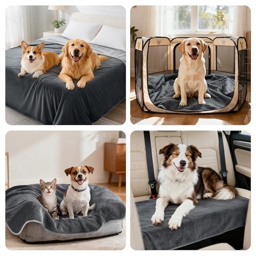 Image of LOOBANI Waterproof Dog Blanket for Bed: Spill-Proof Puppy Blankets for Small Medium Dogs Washable, Reversible Soft Flannel Pet Throw for Couch Sofa Cover, Crate, Travel, Picnic, 30 inch x 40 inch, Grey