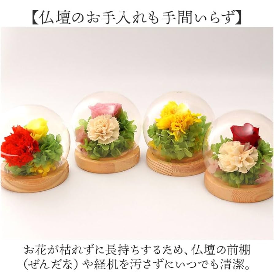 スフィアガラスドーム プリザーブドフラワー ガラスドームアレンジメント セット スフィアガラスドーム│Catalog'22