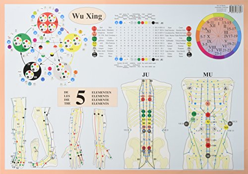 Wu Xing: The Five Elements