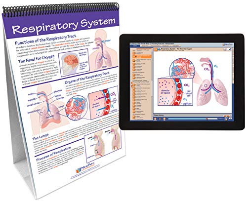 Image of NewPath Providing Fuel & Transportation to the Human Body Flip Chart with Online Multimedia Lesson
