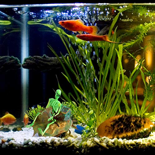 POPETPOP Fish Tank Skull Decorations Fish Tank Skeletons Decor Ornament Aquarium Skull Decorations Creative Resin Fish Tank Skeleton Terrarium Decoration for Fish Tank Aquarium Pirate - Image 4