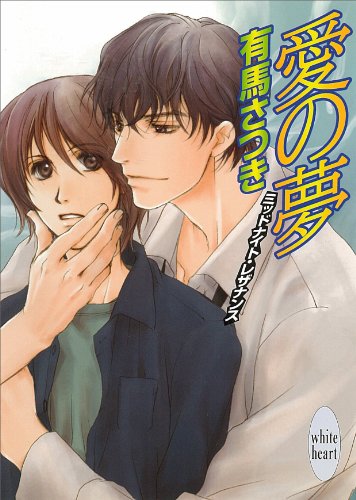 愛の夢　ミッドナイト・レザナンス (講談社X文庫)