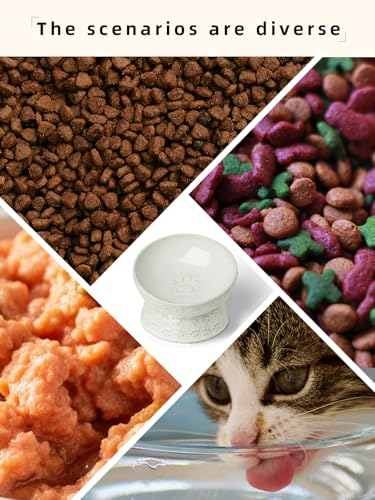 Elevated Ceramic Cat Food Bowl, 15° Tilted Raised Cat Food Bowl, Stress Free Elevated Food Bowls for Flat Faced Cats, Small Dogs, Protect Pet's Spine, 5 oz (Vintage White) - Image 6