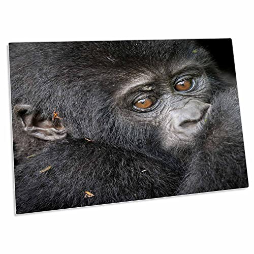 3dRose Africa Uganda Bwindi Impenetrable Forest Desk Pad miniatura 1
