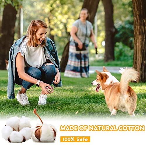 Vivifying Hund Seil Ball, 2 Stück Kaubälle aus Geflochtener Baumwolle für Hunde Zahnreinigung