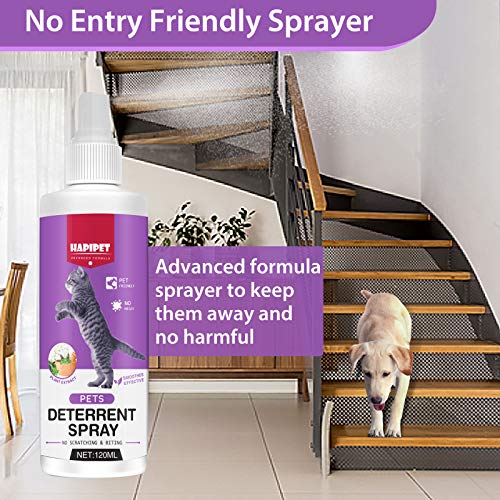 Atrilly C924-01 Cat Deterrent Spray, Cat Repellent Indoor Spray For Furniture, Effective Cat Deterrent For Pet Behavior Training, Prevent Cats Scratching Plants & Furniture thumb #3