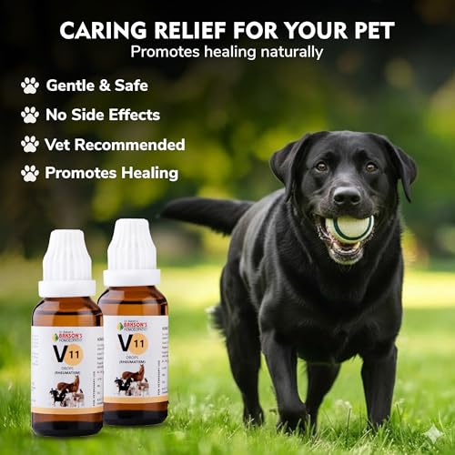 Bakson Veterinary | V-11 (Rheumatisum Drops) | 30 ML | Pet Veterinary Medicine for Animals | Pet Joint Supplement, Arthritis Medicine for Pets, Calcium for Dog & Cats | Pain Relief