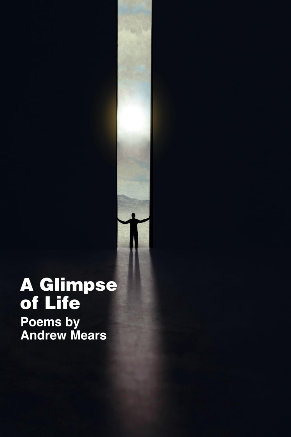 A Glimpse of Life