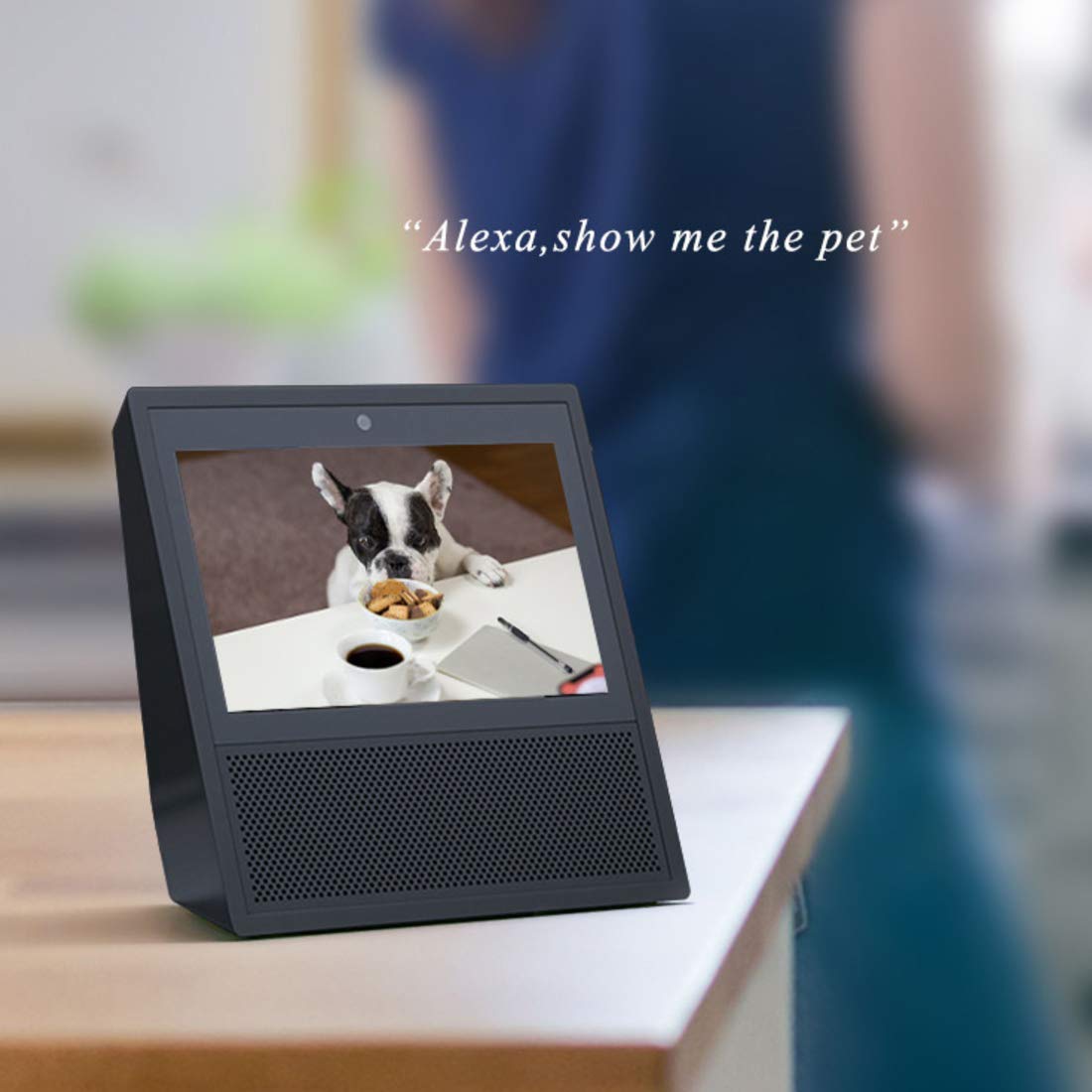 Amazon Echo Show displaying a live feed from the Vimtag camera, with the text 'Alexa, show me the pet'.