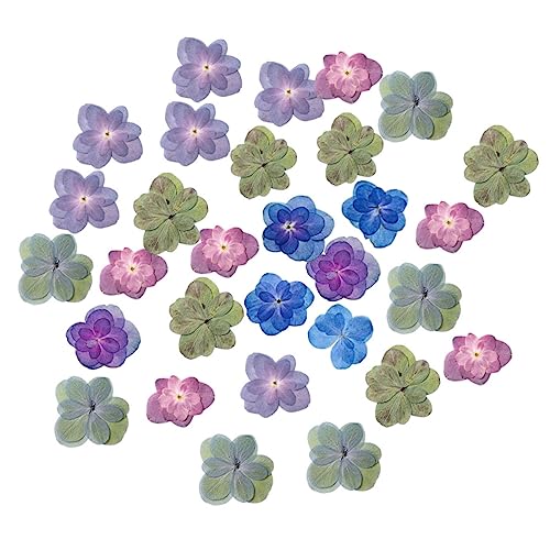 30 pétalos de flor hortensia prensada multicolor para DIY miniatura 1
