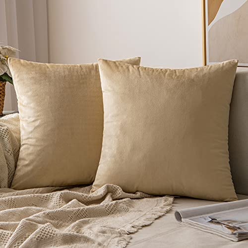 MIULEE Velvet Cushion Covers Soft Decorative Square Throw Pillow Case Pillowcases for Livingroom Sofa Bedroom with Invisible Zipper 20"x20" 50cm x 50cm 2 Pieces Beige
