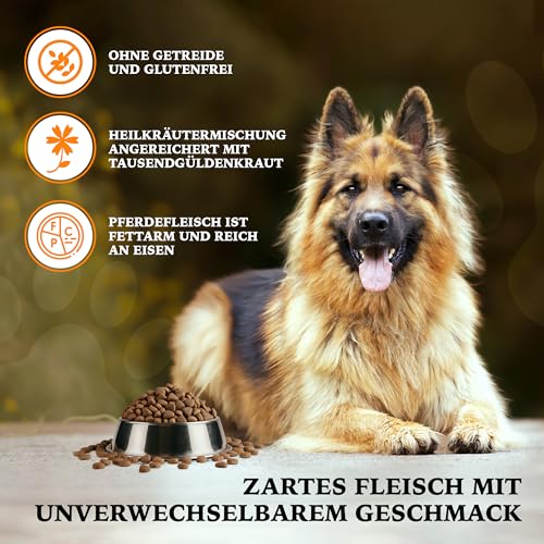 Wildborn Wild Mustang 2 kg Hundefutter – getreidefreies Trockenfutter für Hunde mit Süßkartoffel & Aroniabeeren – ideal für Allergiker, hypoallergen, empfohlen von Tier-Heilpraktikern