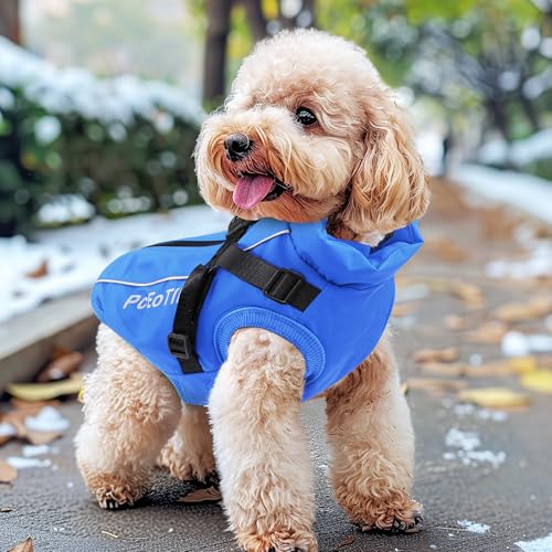PcEoTllar Hundejacken Wasserdicht für Winter, Reflektierend Hundemantel mit Geschirr für Kleine Hunde, Welpe Warme Jacke Hundepullover, Hundejacke Winddichtes für Kaltes Wetter, Blau-M