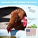 Baszy Chicken Immune & Digestive Booster | Omega-3 Enriched Poultry Vitamins for Enhanced Health and Egg Quality | 32oz Bird Health Supplement