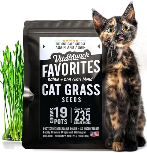 Cat Grass Seed Favorites Non-GMO Wild Native Blend Chosen By Most Kitties+Grows 19 Pots (200 Sq in) in 5 Days Freshly Packed So Fresh It Sprouts Faster for Indoor Cats 7000+ Seeds