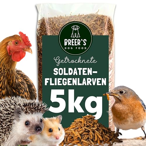 BREERs Soldatenfliegenlarven getrocknet 5 Kg Futter Wildvogelfutter ganzjährig Igelfutter Hamster Eâ€¦ – Miniatur