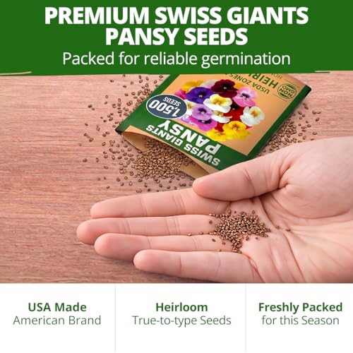 Image of HOME GROWN Pansy Swiss Giant | 3000 Flower Seeds for Planting Outdoors | Mixed Colors | Heirloom Non-GMO Viola Seeds | Cool-Season Fall & Spring Blooms | 2026