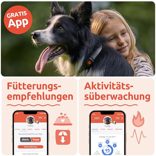 PitPat Aktivitäts & Fitness Tracker für Hunde (ohne GPS) – kein Aufladen oder Abo erforderlich – Geeignet für alle Hunde und Halsbänder – Intelligenter Haustier Aktivitätstracker – 100 % wasserdicht