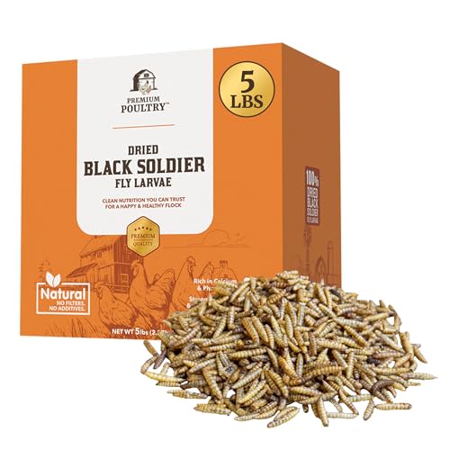 Black Soldier Fly Larvae for Chickens – High Calcium Chicken Treats for Strong Eggshells & Egg Production – Dried BSFL Grubs Poultry Feed for Ducks, Wild Birds & Backyard Flocks, 5lb