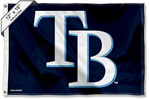 WinCraft Tampa Bay Rays Boat and Golf Cart Flag