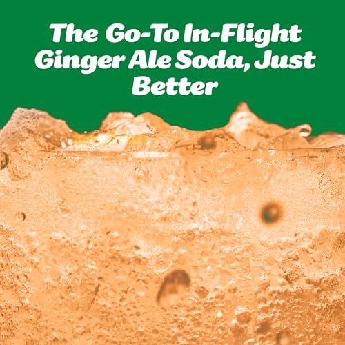Image of Slice Healthy Soda, Ginger Ale, Prebiotic & Probiotic Soda Pop, 5g Fiber, 35 calories, 12 fl oz 12 Pack