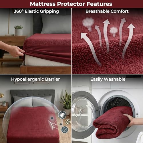 Image of Mattress Protector Single Bed (78x36 inch)| 100% Waterproof Mattress Cover for Single Bed |Dustproof Soft Terry Cotton, Hypoallergenic & Breathable Fitted Elastic Mattress Cover- Maroon