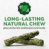 Greenies Occupy Twists Natural Dog Treats Large Breed Size Dog Chews Long Lasting Chicken Flavor, 8.55 oz. Pack, 4 Count #1