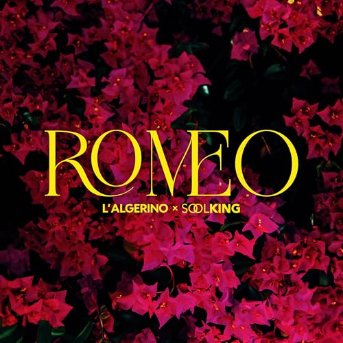 L'Algérino feat. Soolking