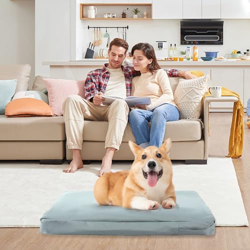 DUJUIKE 100% Wasserdichter Ersatzbezug für Hundebett, Ersatzbezug für Hundeunterlage, Waschbarer, Abnehmbarer Hundematratzenbezug, Hundematratzeneinlage mit Reißverschluss(Grau,S(76 x 51 x 10cm))