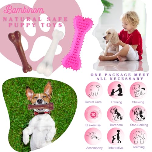 3-Pack Juguetes Mordibles para Perros de Caucho y Nylon miniatura 4