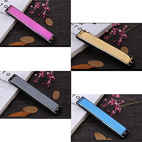 Harmonica personnalisé en Acier Inoxydable ID Harmonica personnalisé gravé Harmonicas Adultes gratuits - Les Beatles, Paul McCartney, John Lennon, RIngo Starr, George Harrison Harmonica personnalisé en Acier Inoxydable ID Harmonica personnalisé gravé Harmonicas Adultes gratuits – Image 3