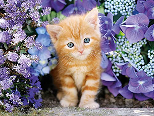 RAILONCH DIY 5D Diamond Painting Set, Vollbohrer Diamanten Malerei, Süß...