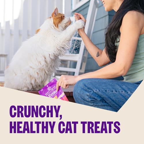 Wellness Kittles Crunchy Cat Treats, All Lifestages, Kitten to Senior, Natural, Grain Free, Chicken and Cranberry Flavor, 2 oz Bag - Image 2