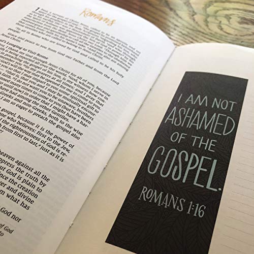 Niv, Beautiful Word Bible Journal, Romans, Paperback, Comfort Print