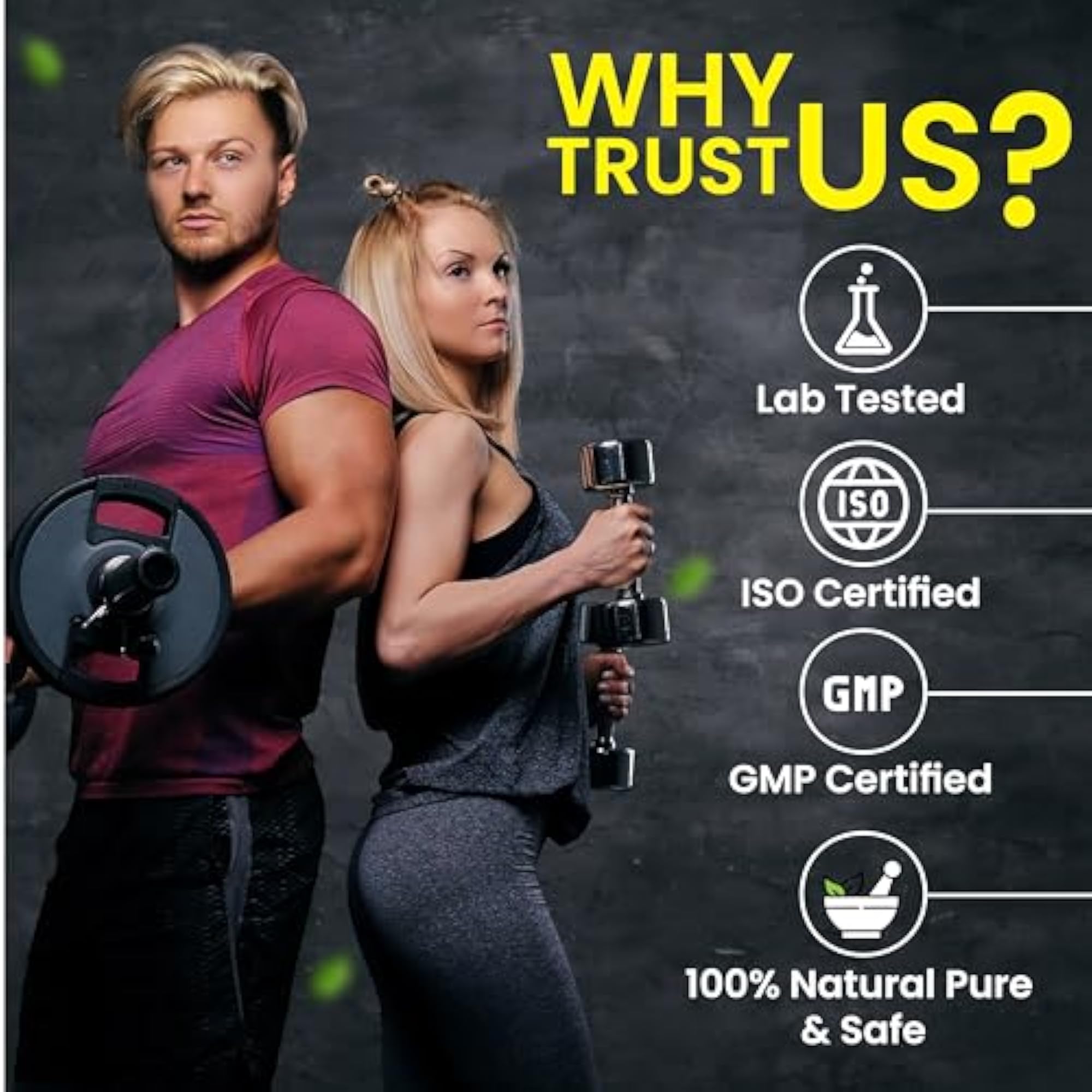 Cipzer Ginseng Capsule for Energy & Immunity