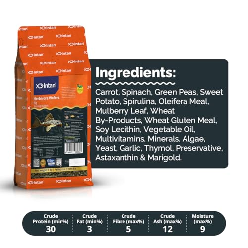 Image of Intan Herbivore Wafers (Big 3.0mm Sinking) | 1Kg - Highly Nutritious Ornamental Fish Food for Herbivorous Fish - Mollies, Mbunas & Plecos | Growel Feeds
