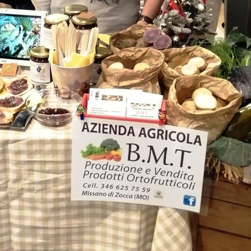 BTM di Bernardoni Maria Tiziana intervista a Maria Tiziana e Ivano Podcast By  cover art