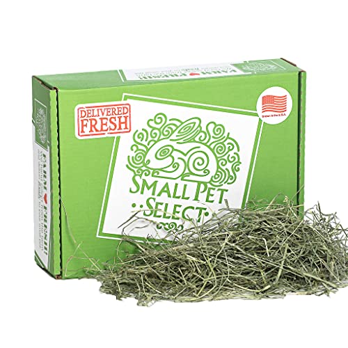 8 Best Hay for Guinea Pigs A Helpful Guide Guinea Pig Tube