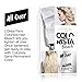 L'Oreal Paris Colorista Hair Bleach, Hair Dye Kit for All Over Blonde Hair Color, 1 Hair Bleach Kit
