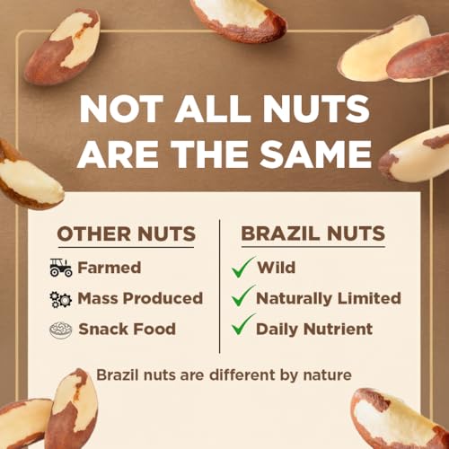 Image of Premium Wild Harvested Raw Brazil Nuts, 1 lb (16oz) - High Selenium, Batch Tested Peanut & Gluten Free, Non-GMO, Kosher, Resealable Bag