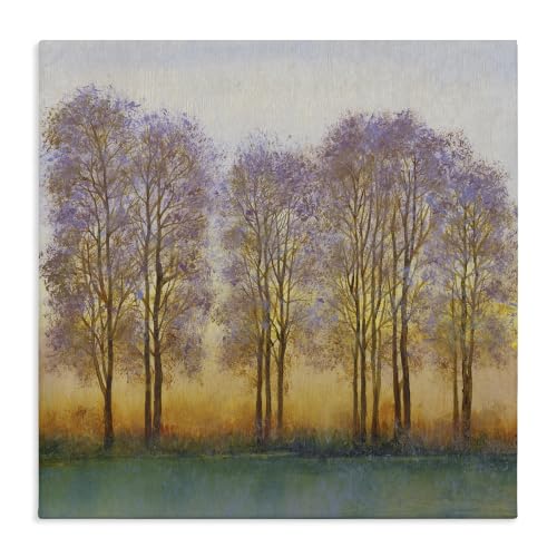 Stupell Industries Warm Sunset Sky Trees Silhouettes Nature Scene, Design by Tim OToole, 24 x 24, Gallery Wrapped Canvas