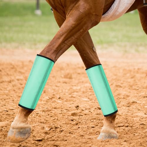 Image of Jexine 12 Fly Boots for Horse Set of 12 Loose Breathable Mesh Horse Fly Sheets Protective Horse Leg Wraps Leggings for Preventing Flies and Mosquitoes Bites (Blue, Green,Red)
