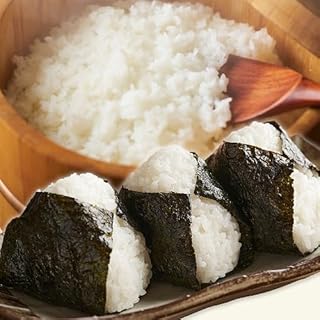 【12ヶ月定期便】 熊本県産 肥後うまか米 無洗米 5kg 《1月から出荷開始》