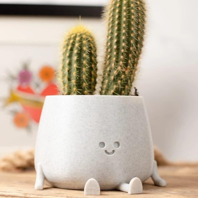 Wishbot Setting Happy Face Planter Eco-Friendly Bio-Based Material, Cute Plant Pot, Face Planter Pot, Head Planter, Succulent Pot (85x 91x62 mm) (B0D2XSWBYS) Amazon Price History, Amazon Price Tracker