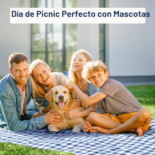 Esterilla camping de 200x300 cm impermeable y sin arena para evitar la humedad 5
