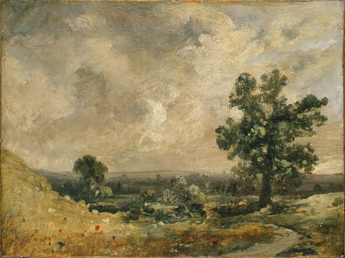 Peinture Poster Art Mural Toile Paysage Anglais Constable 60x90cm